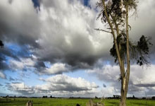 问鼎娱乐-冲刺阶段塞维利亚备战英超，豪取连胜细节曝光，球迷炸锅，团队化学反应显著的简单介绍