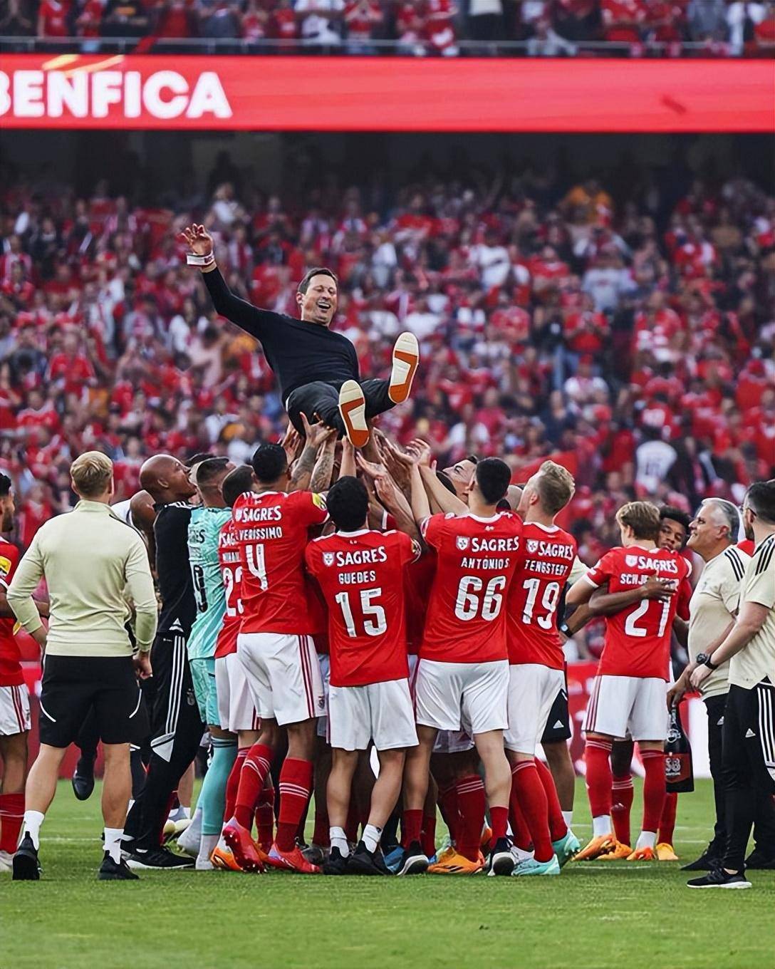  王牌投手振臂高挥免费观看 